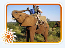 Corbett Elephant Safari Tour